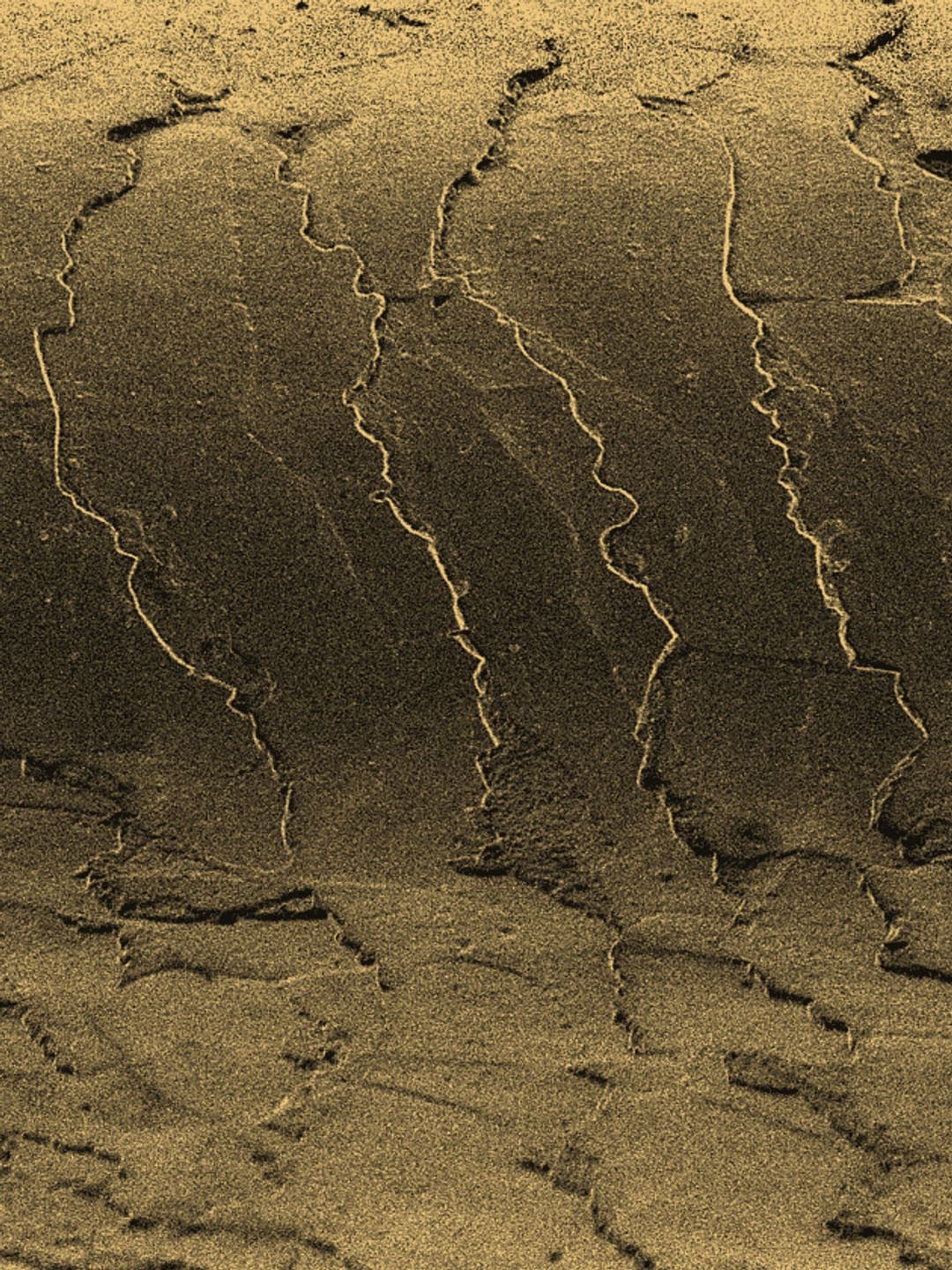 The surface of a human hair under an electron microscope